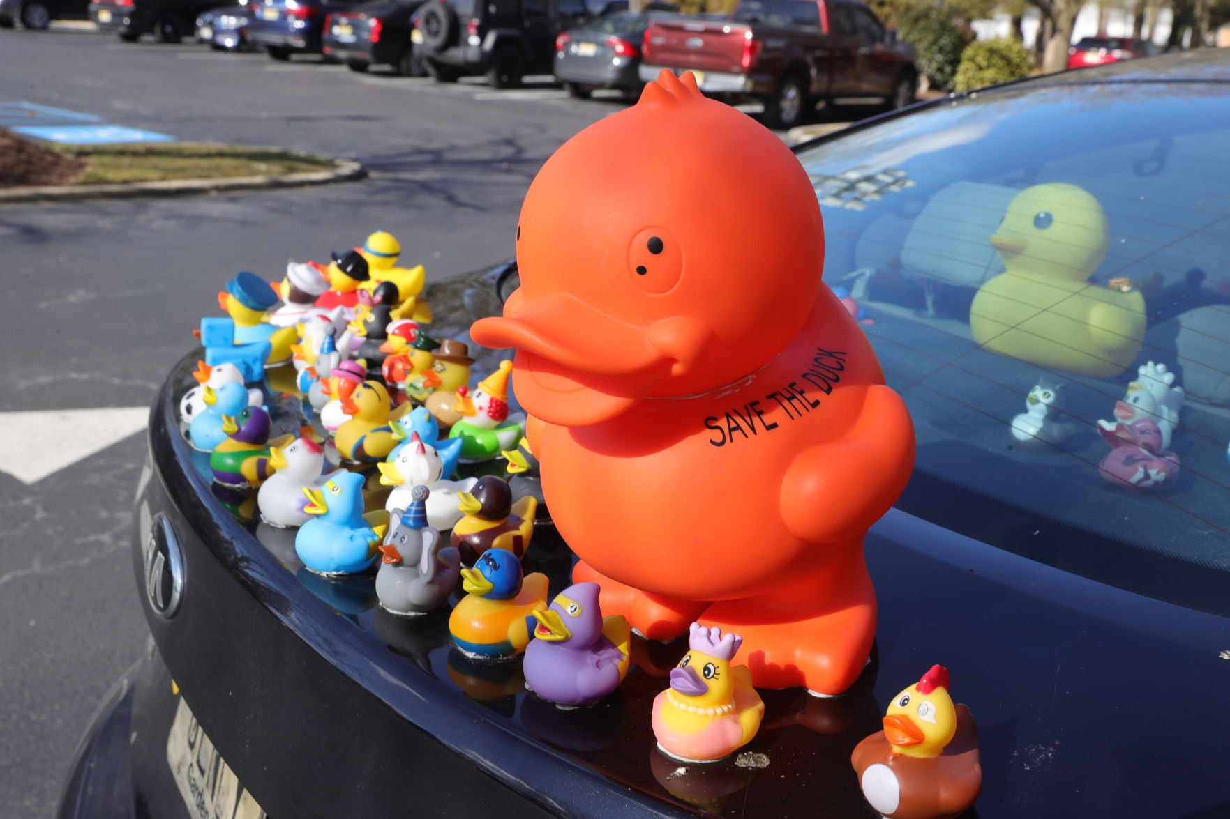 Duck Car